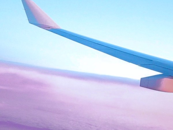 Do you have what it takes to become a flight&nbsp;attendant?